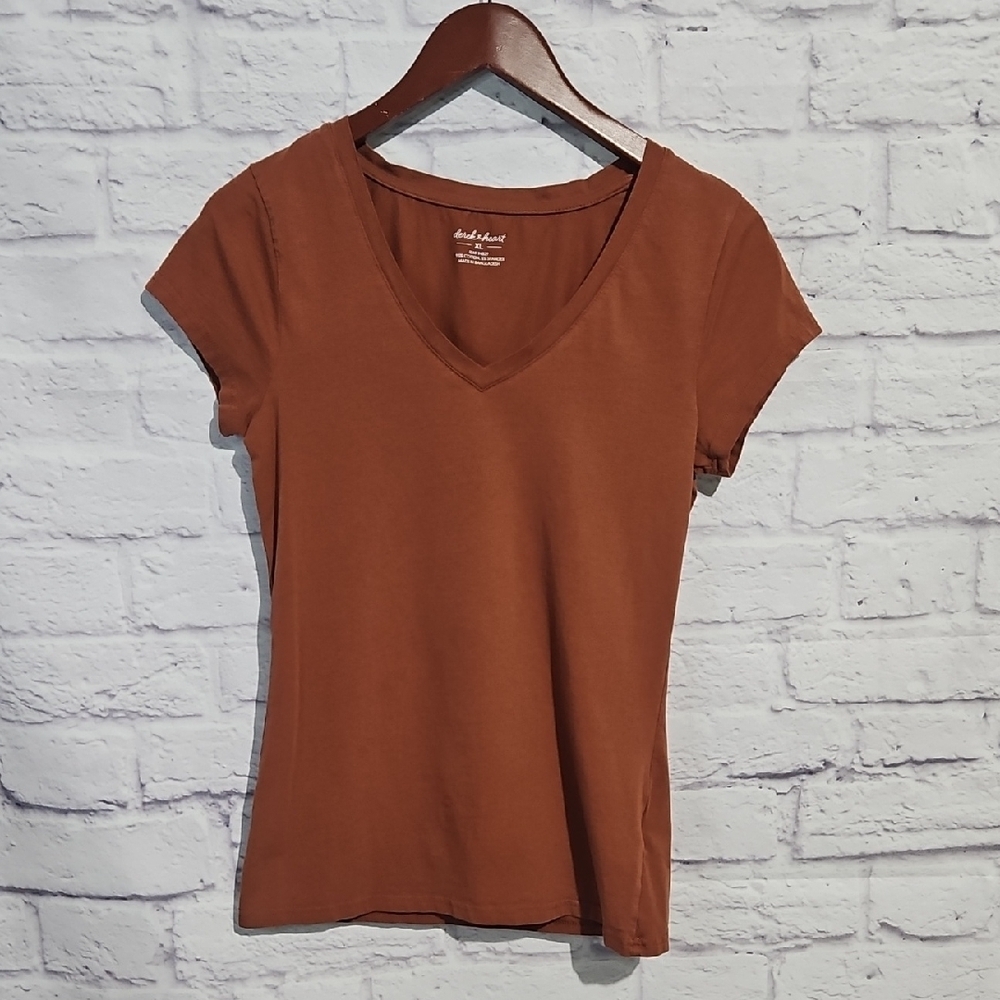 Derek Heart Short Sleeve V-Neck Tee in Rust